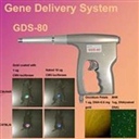 Wealtec GDS-80 基因槍  
