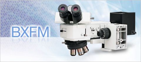 olympus奧林巴斯工業(yè)顯微鏡BXFM小型系統(tǒng)顯微鏡