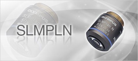 olympus奧林巴斯工業(yè)顯微鏡LMPLFLN物鏡 