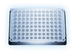 eppendorf 艾本德熒光定量 PCR 板