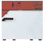 scarpa